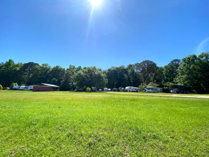 Open pasture with campers parked along the far tree line