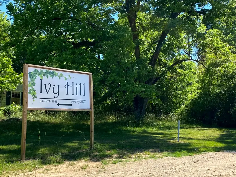 The Ivy Hill entrance sign at the edge of the woods
