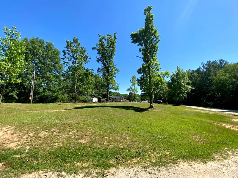 Tall trees casting shade across a wide grass lot